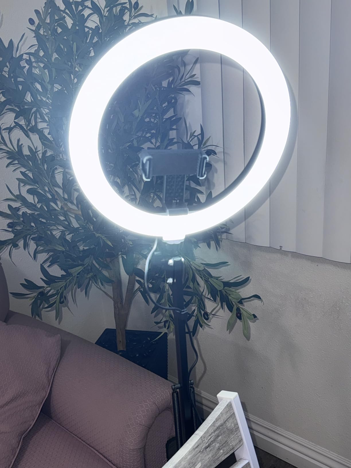 InnoGear Overhead Phone Mount with Ring Light, 10