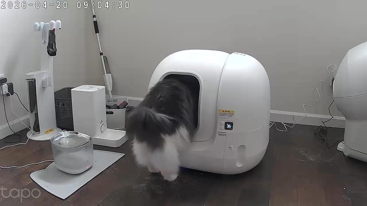 PETKIT PuraMax 2 Automatic Self-Cleaning Cat Litter Box, App Control Automatic Litter Box with Safety Sensors, Odor Free & Anti-Leakage Basic Bundle Includes Trash Bags, 2.4G WiFi & Low Entrance customer photo 2