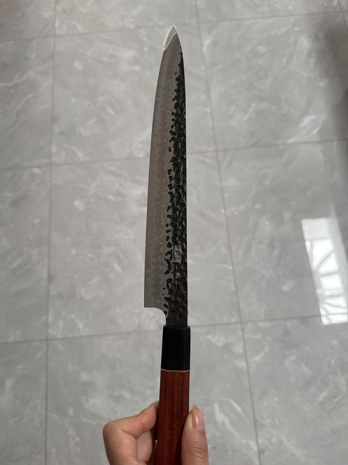 HOSHANHO Sushi Knife Japanese Sashimi Knives 10 Inch, Hand Forged High Carbon Steel Yanagiba Knife, Kitchen Chef Knives for Cutting Sushi & Sashimi customer photo 1
