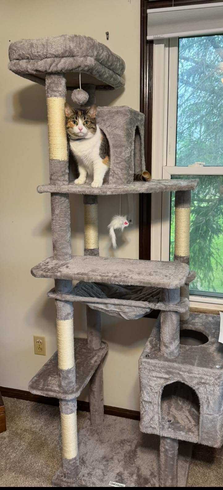 Globlazer Heavy Duty Cat Tree, 70 inch Sturdy Cat Tree for Indoor Cats Extra Large Cat Tower with Scratching Post, Hammock, Cat Condo, Light Grey customer photo 1
