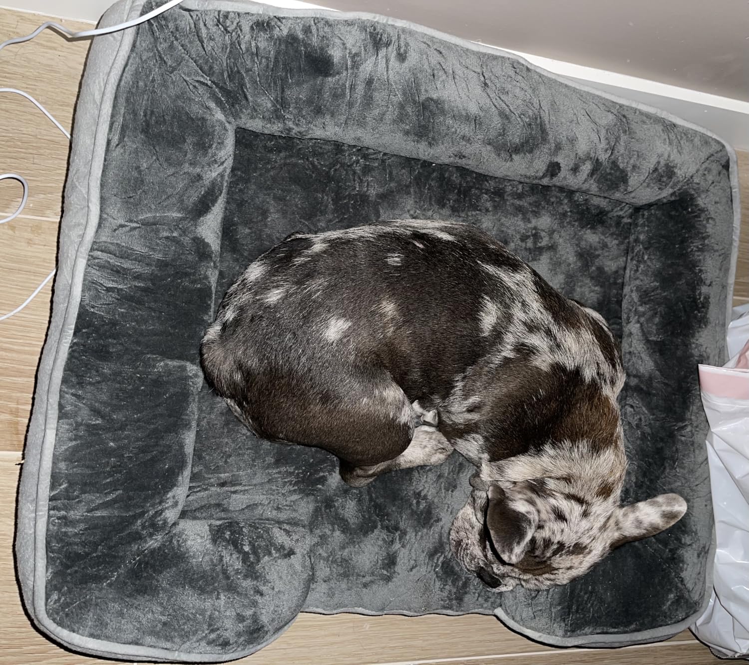 Spotted Play Orthopedic Dog Bed with Sides - Dog Sofa Beds for Medium Dogs, Supportive Foam Pet Couch Bed with Washable Removable Cover, Waterproof Lining and Non-Slip Bottom, Grey - M customer photo 2
