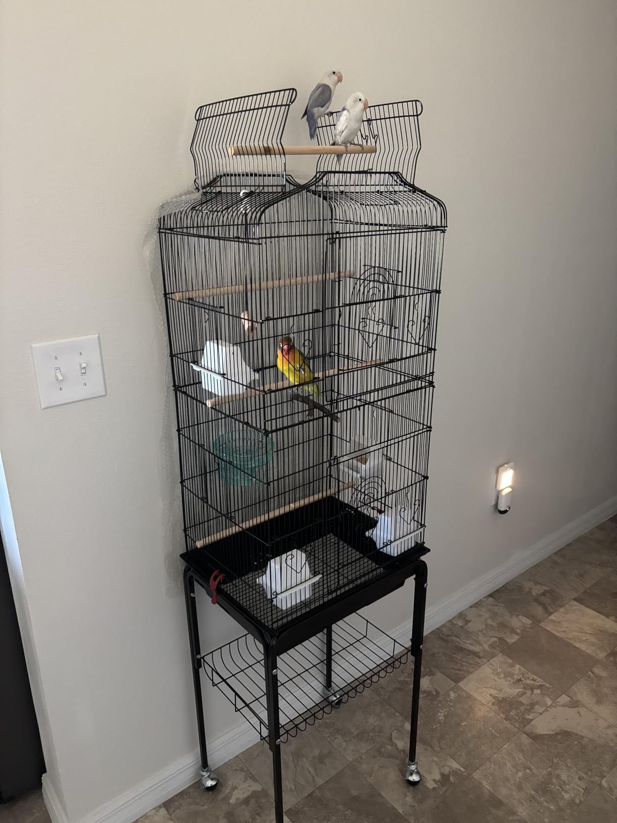 VEVOR 64-inch Open Top Large Parrot Bird Cage with Detachable Rolling Stand for Parakeets Finches Canaries Lovebirds Cockatiels Budgies Small Quaker Conures Flight Birdcage with Swing and Perch customer photo 2