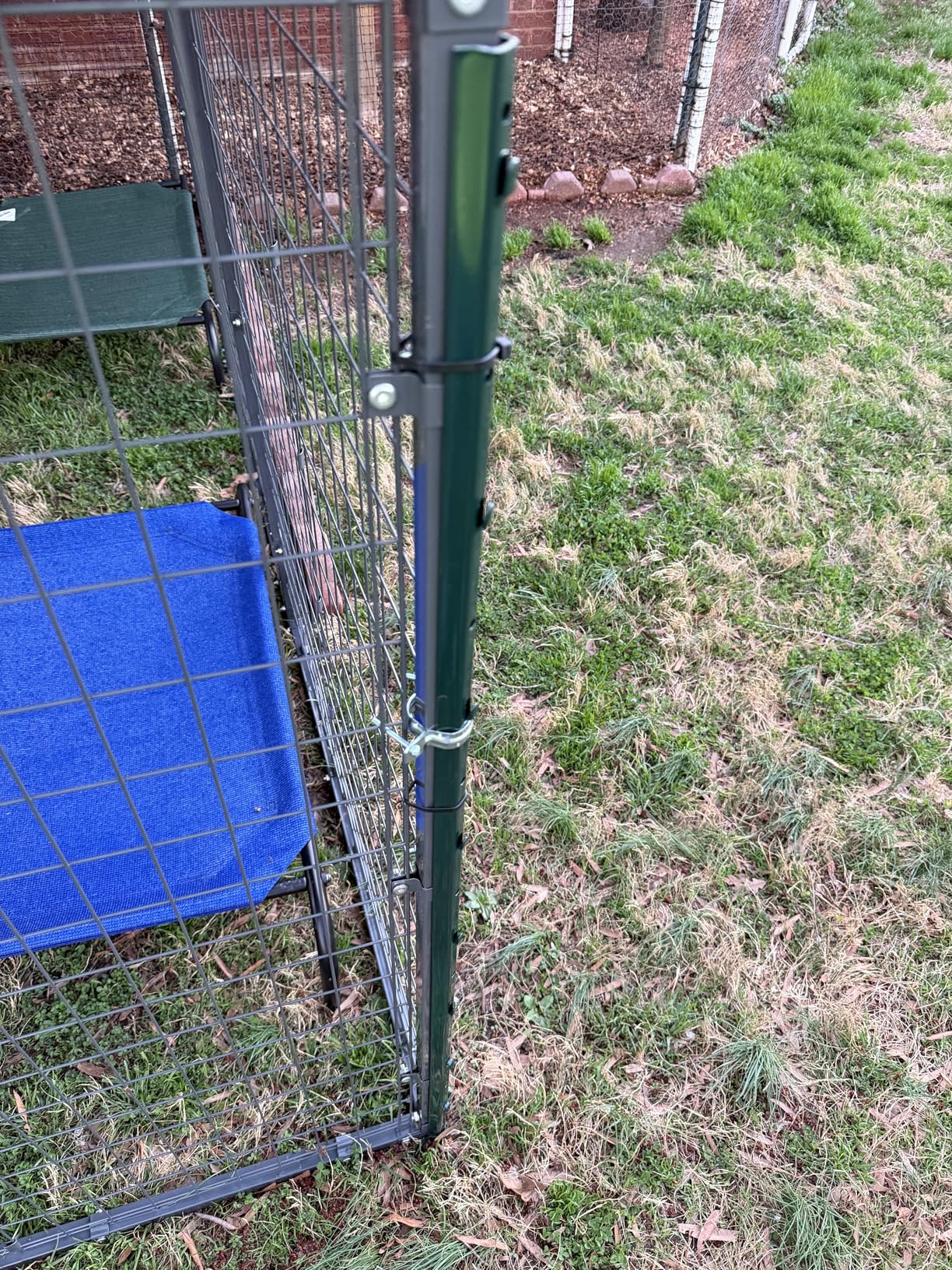 Kullavik 10x10x6 FT Large Outdoor Dog Kennel, Anti-Rust Galvanized Steel Dog Pen with Double Locks, Heavy Duty Dog Enclosure Fence with UV & Water Resistant Roof Cover for Outside customer photo 2