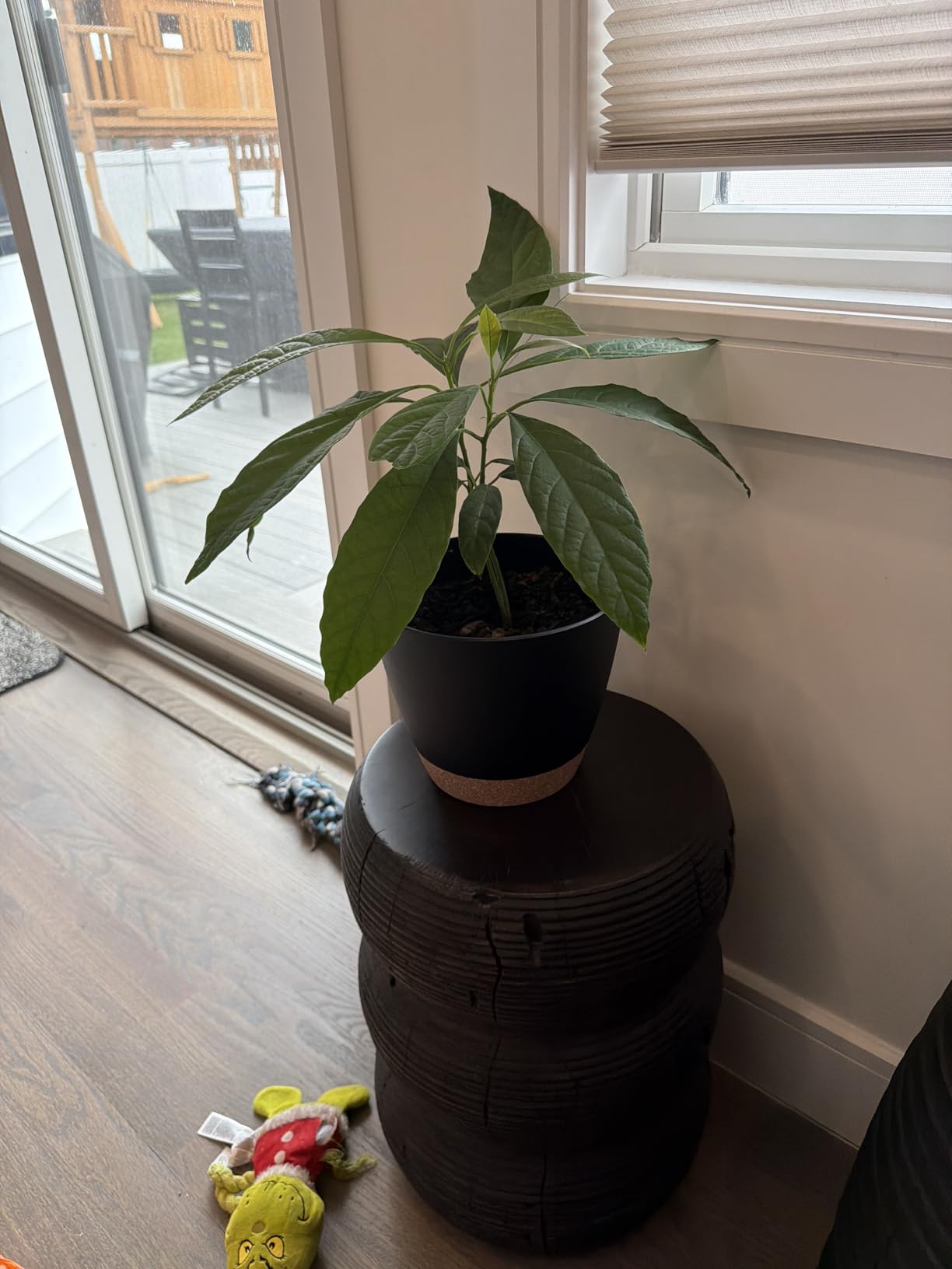 8/10/12 Inch Self Watering Pots for Indoor/Outdoor Plants - Large Plastic Planter with Drainage Holes, Water Level Indicator & Deep Reservoir, Modern Decorative Flower Pots (White) customer photo 1