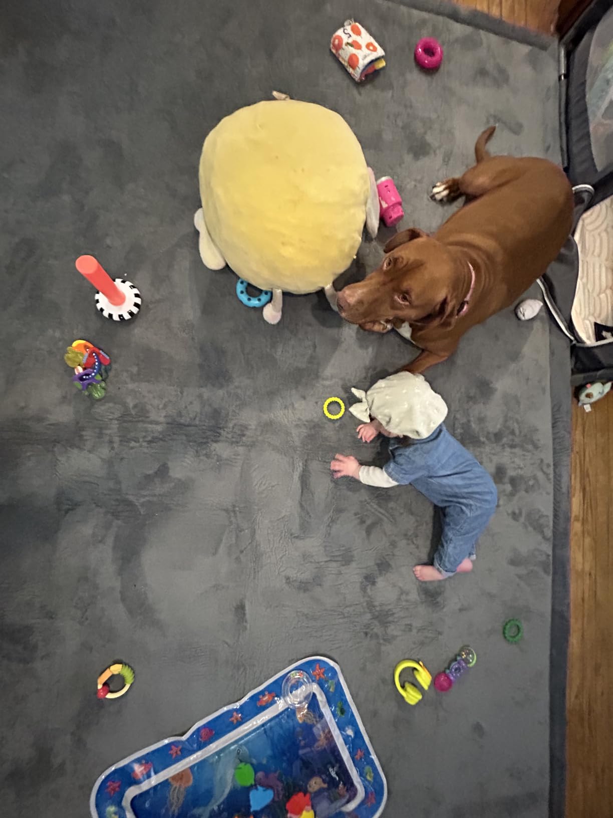 Huloo Sleep Ultra Soft Baby Play Mat for Floor, 1.3