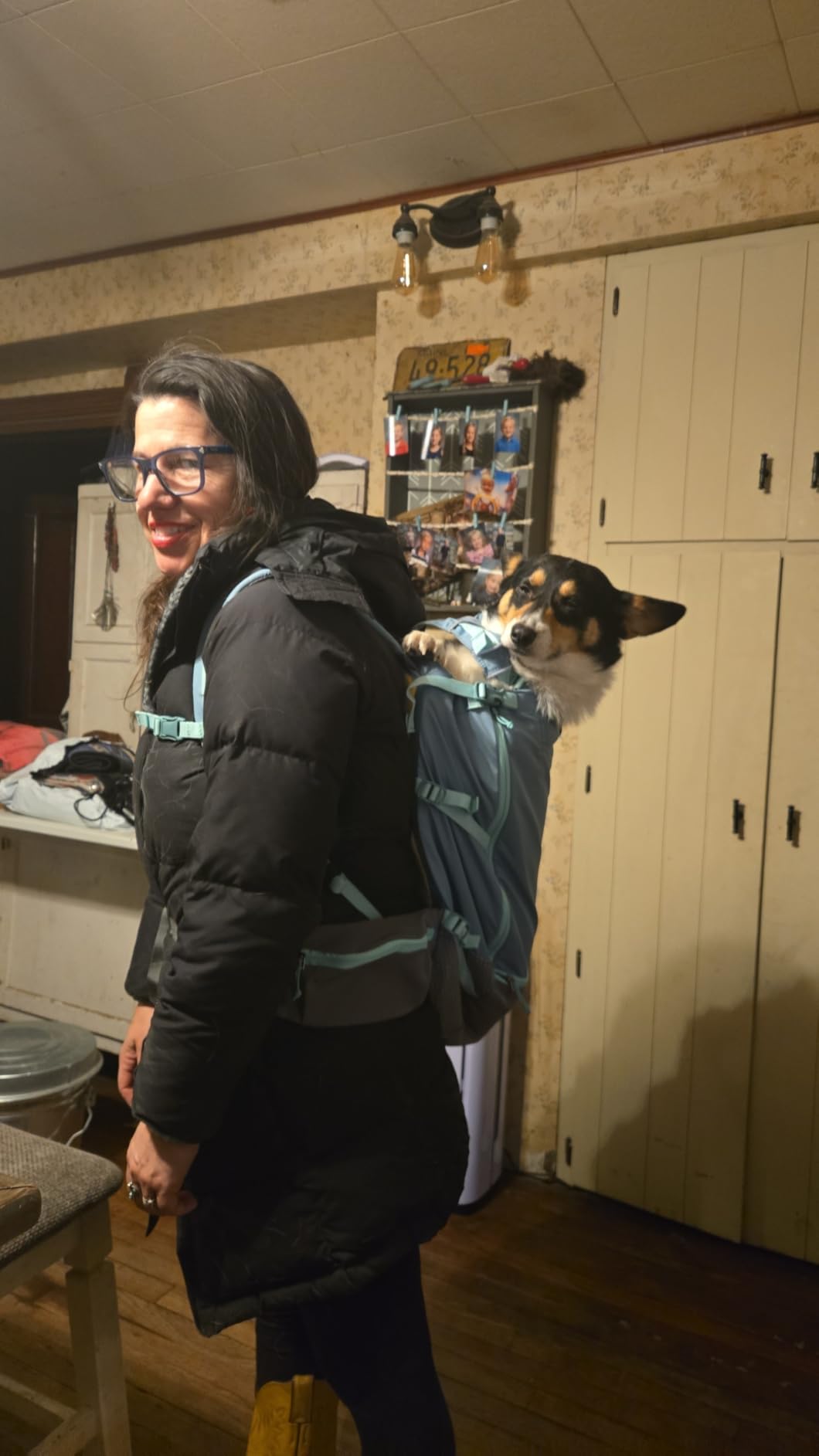 Ruffwear Hitch Hiker Dog Backpack Carrier, Hands-Free Dog Carrier Backpack with Breathable Mesh, EVA Foam Padding, Durable Polyester, Lightweight Design for Small Dogs customer photo 1