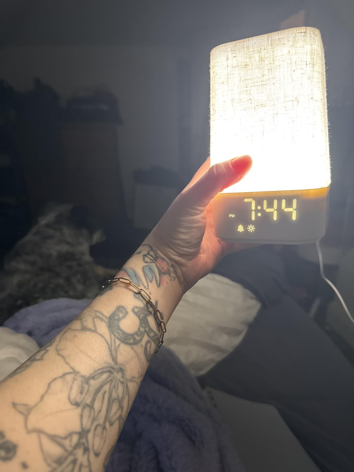10-60 Mins Simulate Sunrise Alarm Clock: Gentle Wake Up Light Adjustable Brightness, 30 Volume, Bright & Loud Enough for Heavy Sleepers - White Noise Machine with 30 Soothing Sounds, Ease of Use customer photo 1