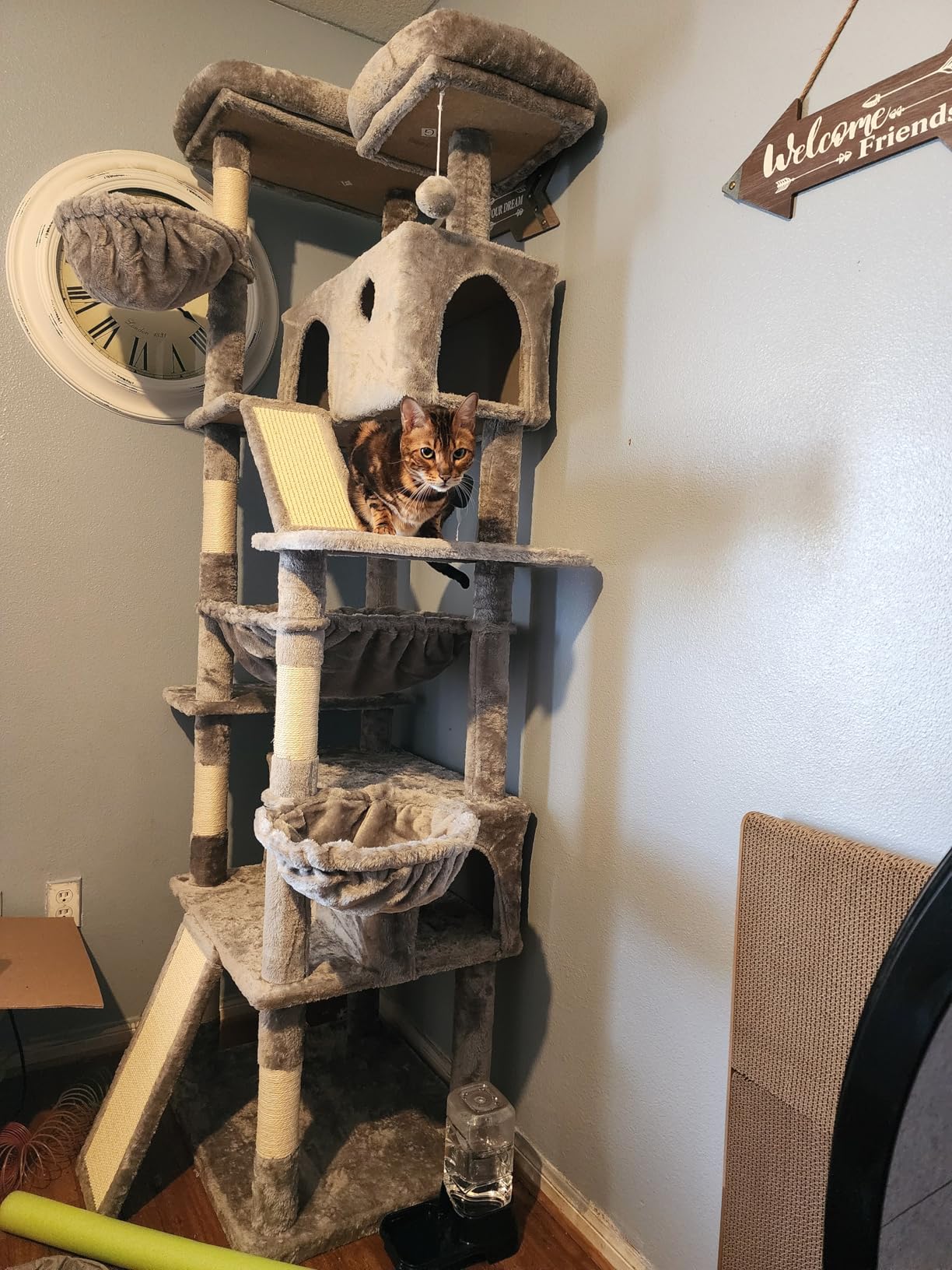 SHA CERLIN 81in Multi-Level Tall Cat Tree Tower for Indoor Kitties/Larger Cat Condo Furniture with Hammock/Cozy Perches/Sisal Scratching Posts, Leopard Print customer photo 1