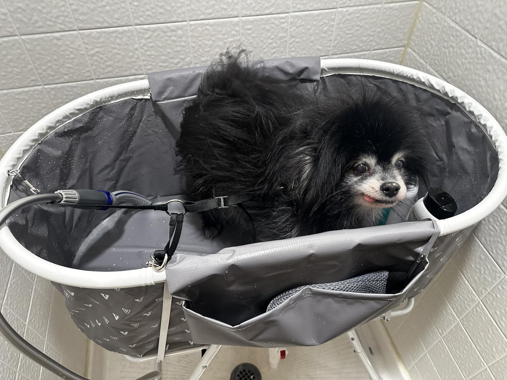 VEVOR Portable Dog Bathtub, Elevated & Foldable Space-Saving Pet Shower Station with Efficient Drainage, Bathing Tub for Washing & Grooming Small and Medium Size Dogs and Cats Indoor & Outdoor, Grey customer photo 2