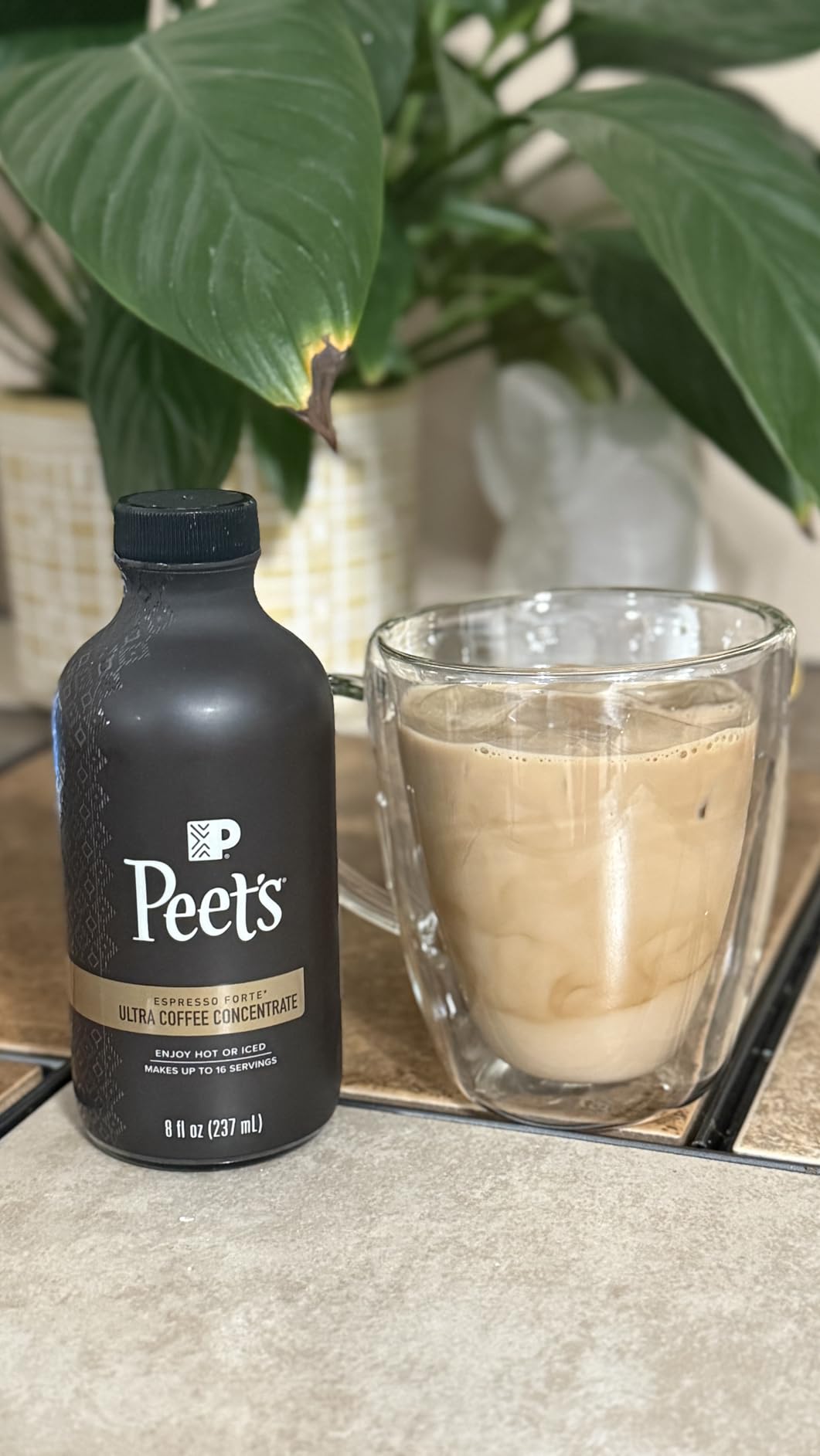 Peet's Coffee, Ultra Coffee Concentrate, Instant Hot, Cold Brew, or Iced Coffee, 100% Arabica Coffee - Espresso Forte, 8 Fluid Ounce Bottle customer photo 2