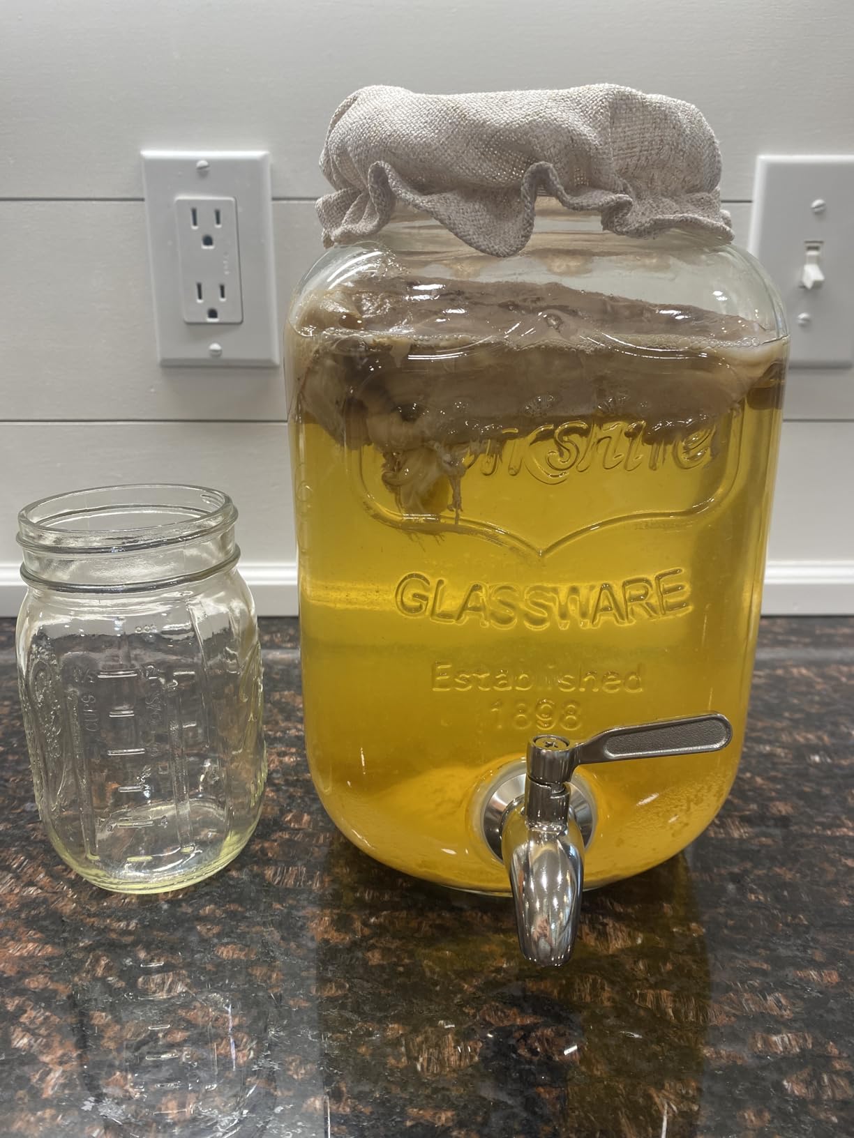 1 Gallon Kombucha Jar Starter Kit with Spigot, Continuous Kombucha Brewing Jar Kit, Glass Kombucha Starter Kit with Stainless Steel Mesh Filter customer photo 1