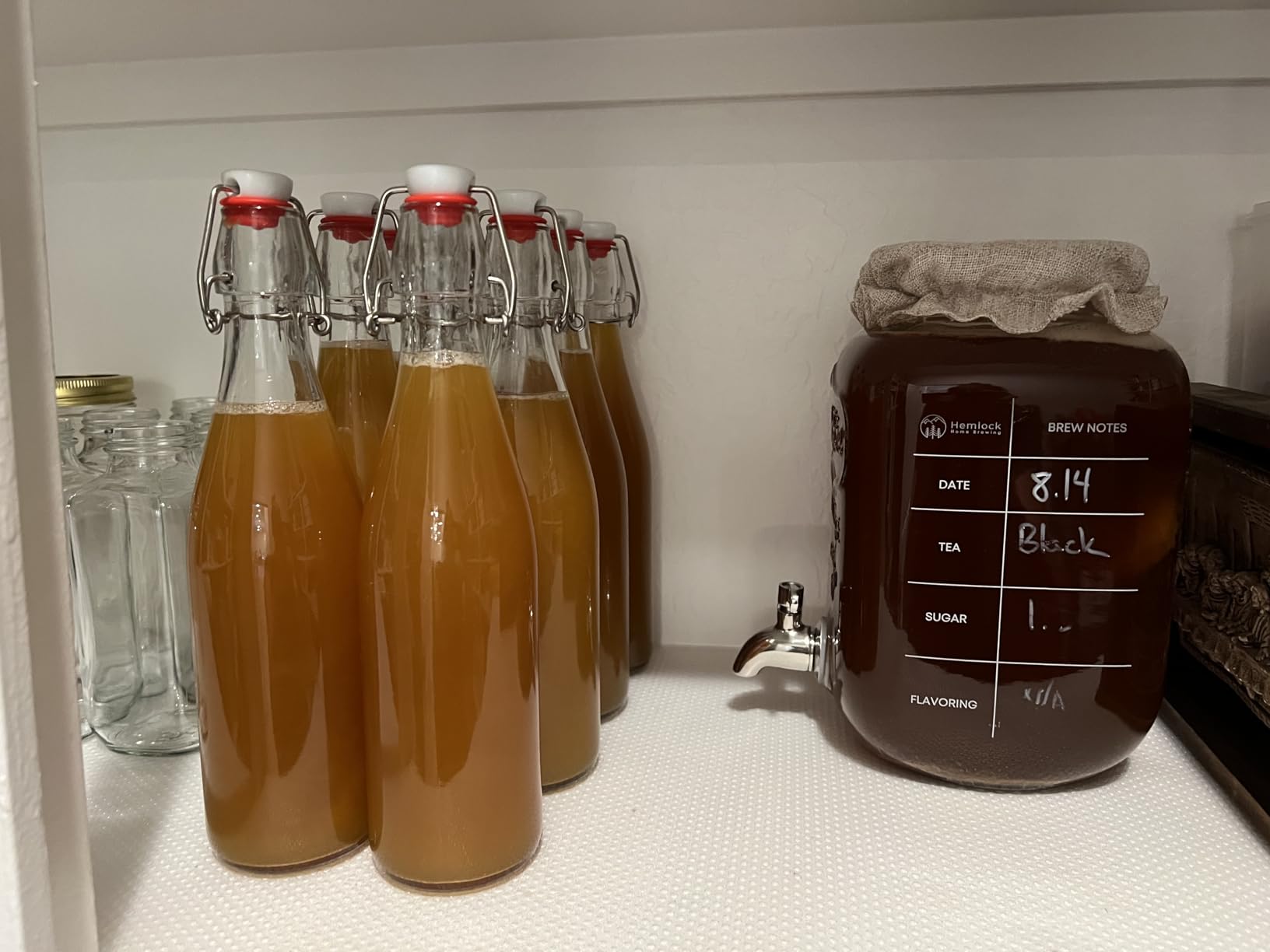 1 Gallon Kombucha Jar Starter Kit with Spigot, Continuous Kombucha Brewing Jar Kit, Glass Kombucha Starter Kit with Stainless Steel Mesh Filter customer photo 2