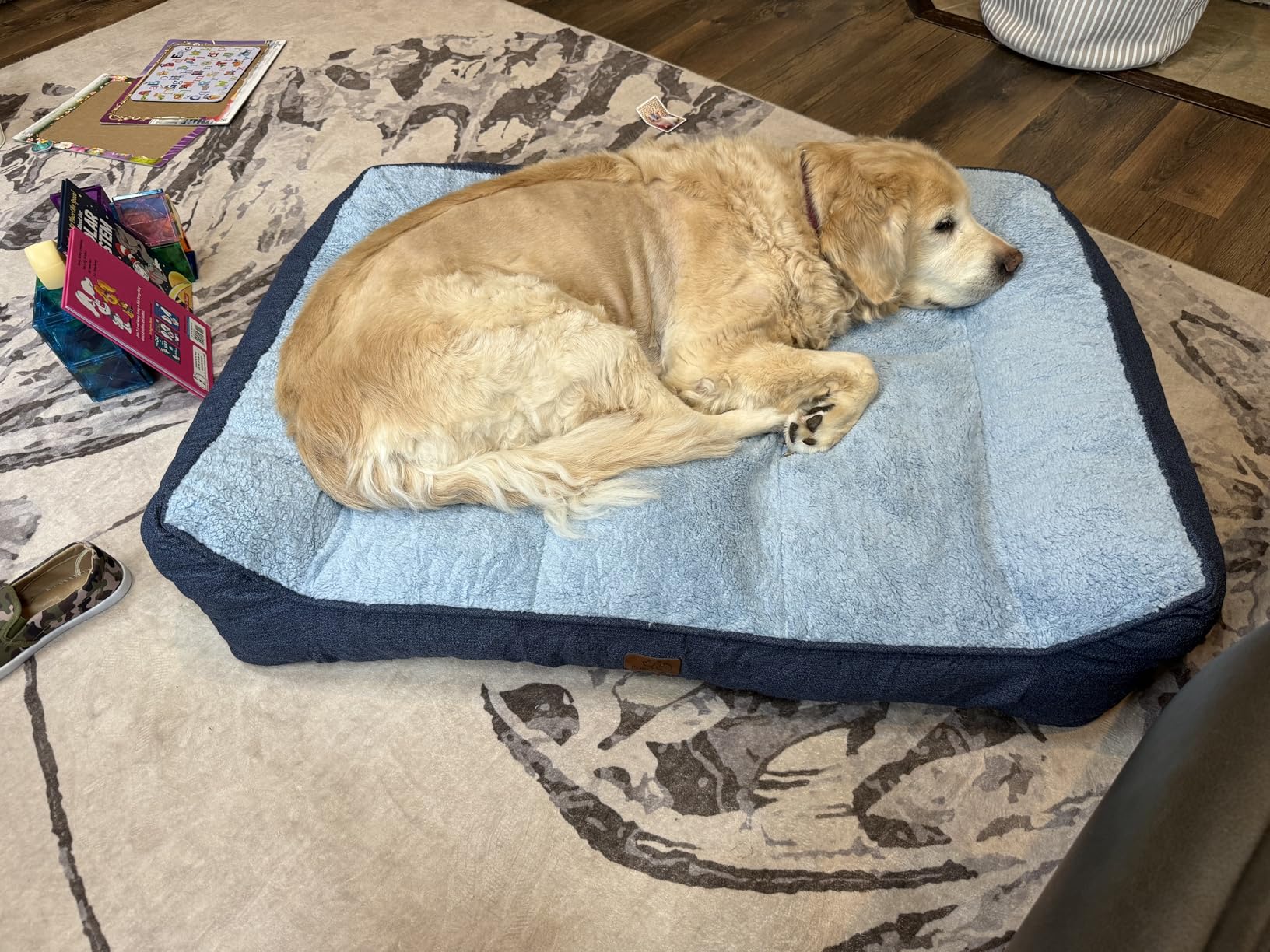 Bedsure SupportMax XL Orthopedic Dog Beds Large Sized Dog - Extra Thick Supportive Dogs Couch with Waterproof Washable Cover, Extra Large Comfort Pet Sofa with Soft Sherpa & Nonskid Bottom, Grey, 42
