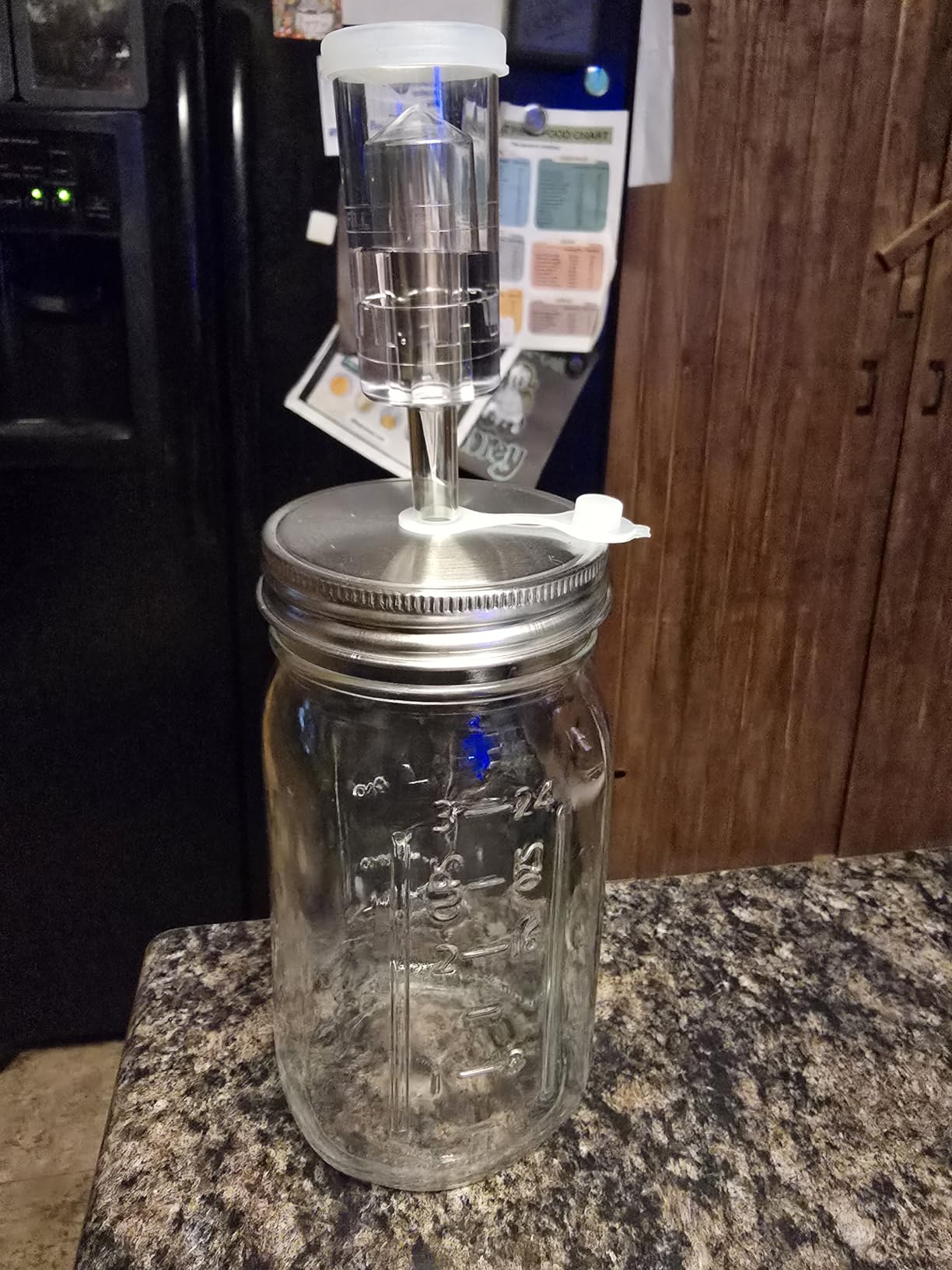 32 oz Mason Jar Fermentation Kit, 2 Pack Fermentation Jars, Fermentation Lids, Fermenting Weights and Airlocks, Complete Fermenting Kit for Making and Storing Sauerkraut customer photo 2