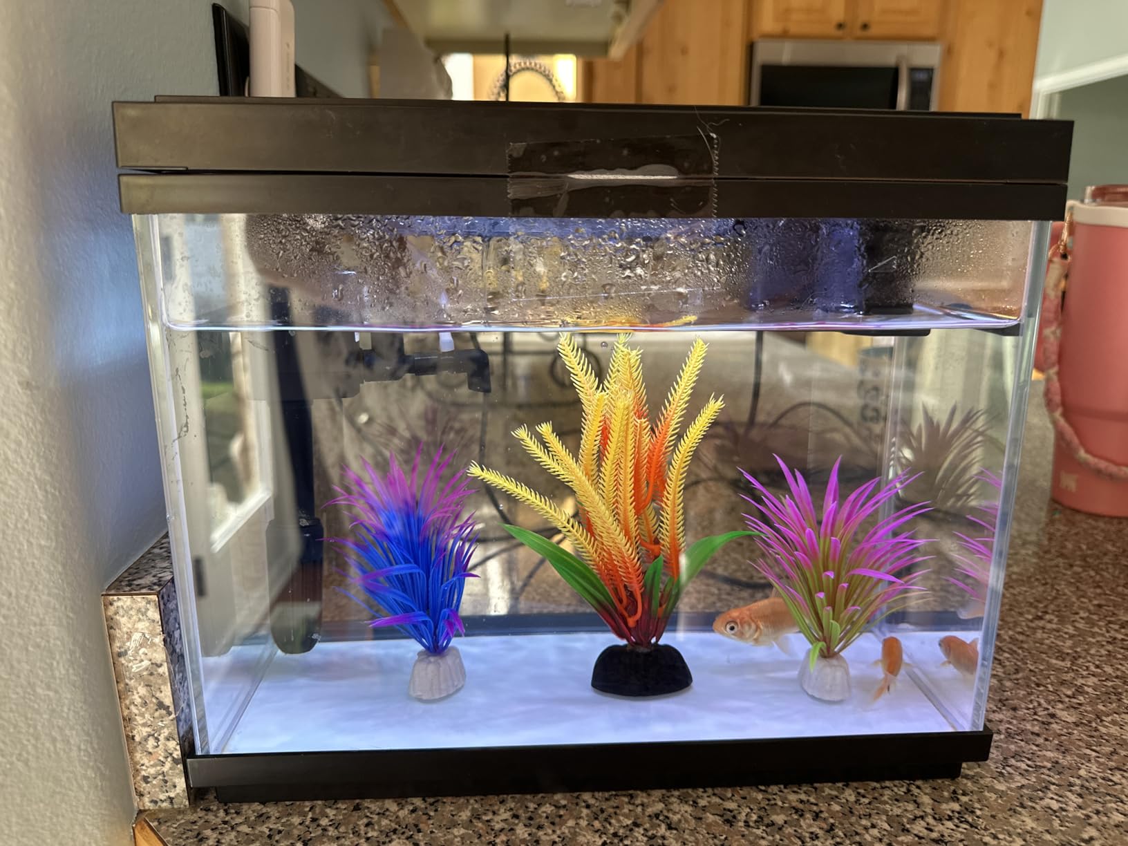 Vehipa Fish Tank, 2.4 Gallon Fish Aquarium, Fish Tank Starter kit with Smart Humidifier, Temperature Display, 7-Color Lighting customer photo 1