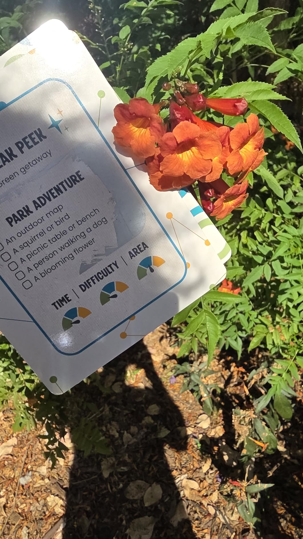 Scratch 'Ems Scavenger Hunts | 42 Scratch Off Adventure Cards - Outdoor Scavenger Hunt for Kids & Families | All Season, Reusable Scratch-Off Cards for Screen-Free Fun, Nature Activity & Camping customer photo 2