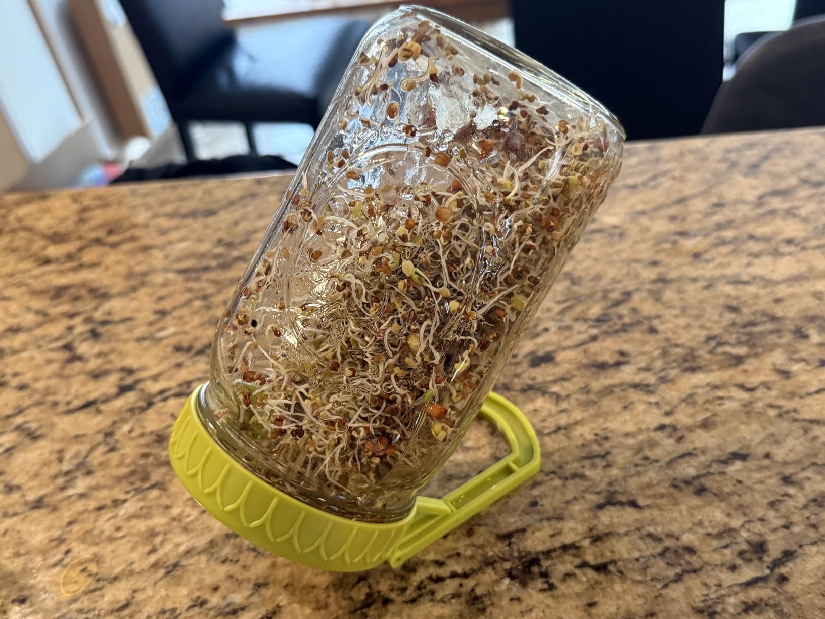 Happyiren Sprouting Kit for Wide Mouth Mason Jars, 2-Pack BPA-Free One-Piece Sprouting Lids with Built-In Stand, Seed Germination Jar Sprouter Lid customer photo 1