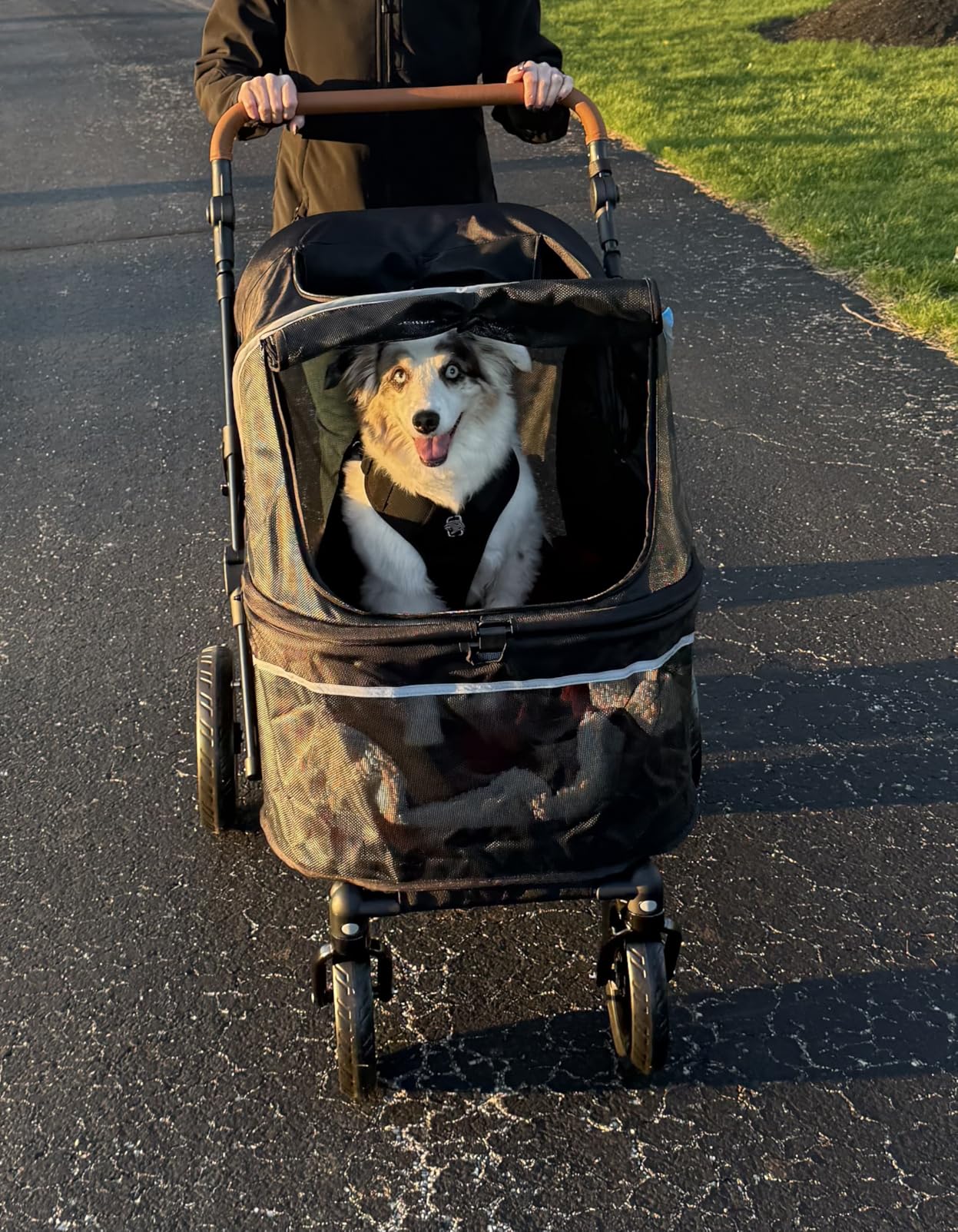 Zoosky Pet Stroller for Large Dogs up to 110lbs, Large Pet Stroller for Multiple Pets, All-Terrain with Adjustable Handle & Mesh Dual-Window, 1680D Waterproof Oxford Fiber customer photo 2