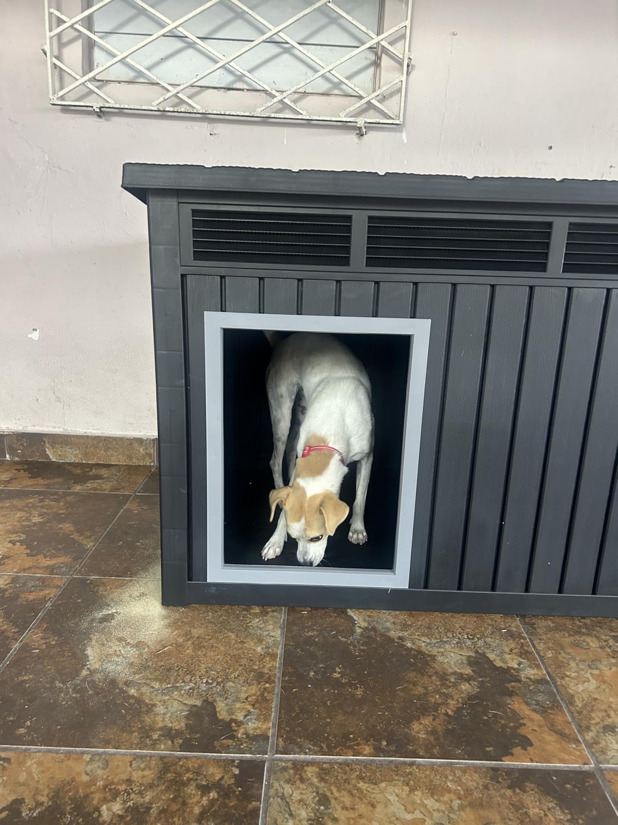 Fancyango Large Dog House for Indoor & Outdoor - Weatherproof & Removable Roof, Fits Small to Large Dogs customer photo 2