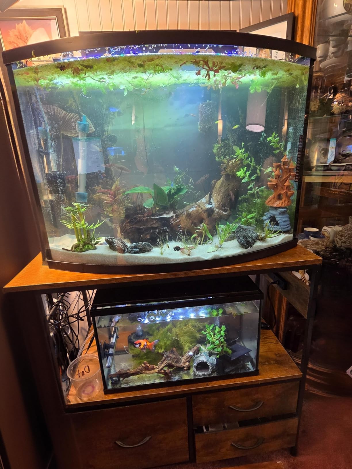 Heybly 20-29 Gallon Fish Tank Stand, Aquarium Stand with Drawer, Power Outlet, Heavy Duty Metal Frame, for Fish Tank, Turtle & Reptile Terrarium, 31.5