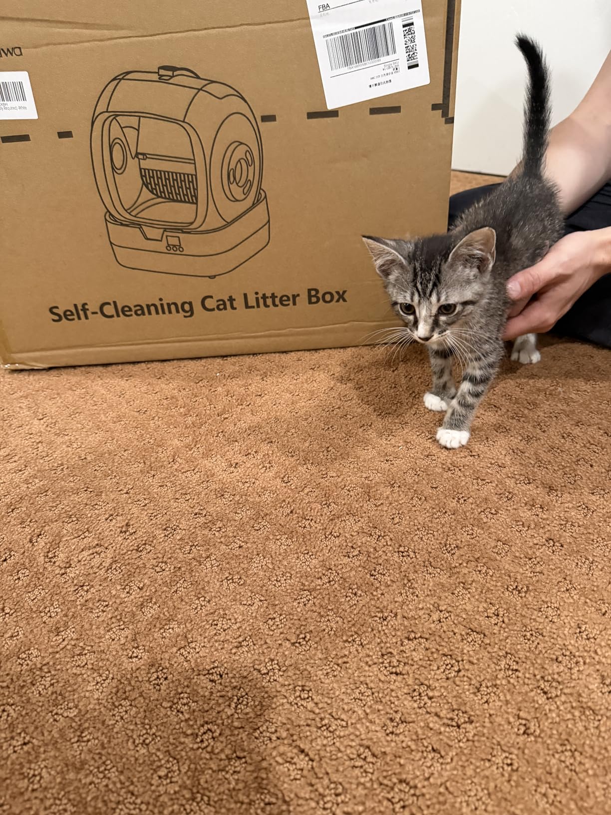 Mintakawa Automatic Cat Litter Box Self Cleaning - APP Control and Weight Monitoring - Ultra-Quiet, Suitable for Medium Cats and Kittens, Safe Anti-Pinch Litter Box (Assembly Required) - White customer photo 2
