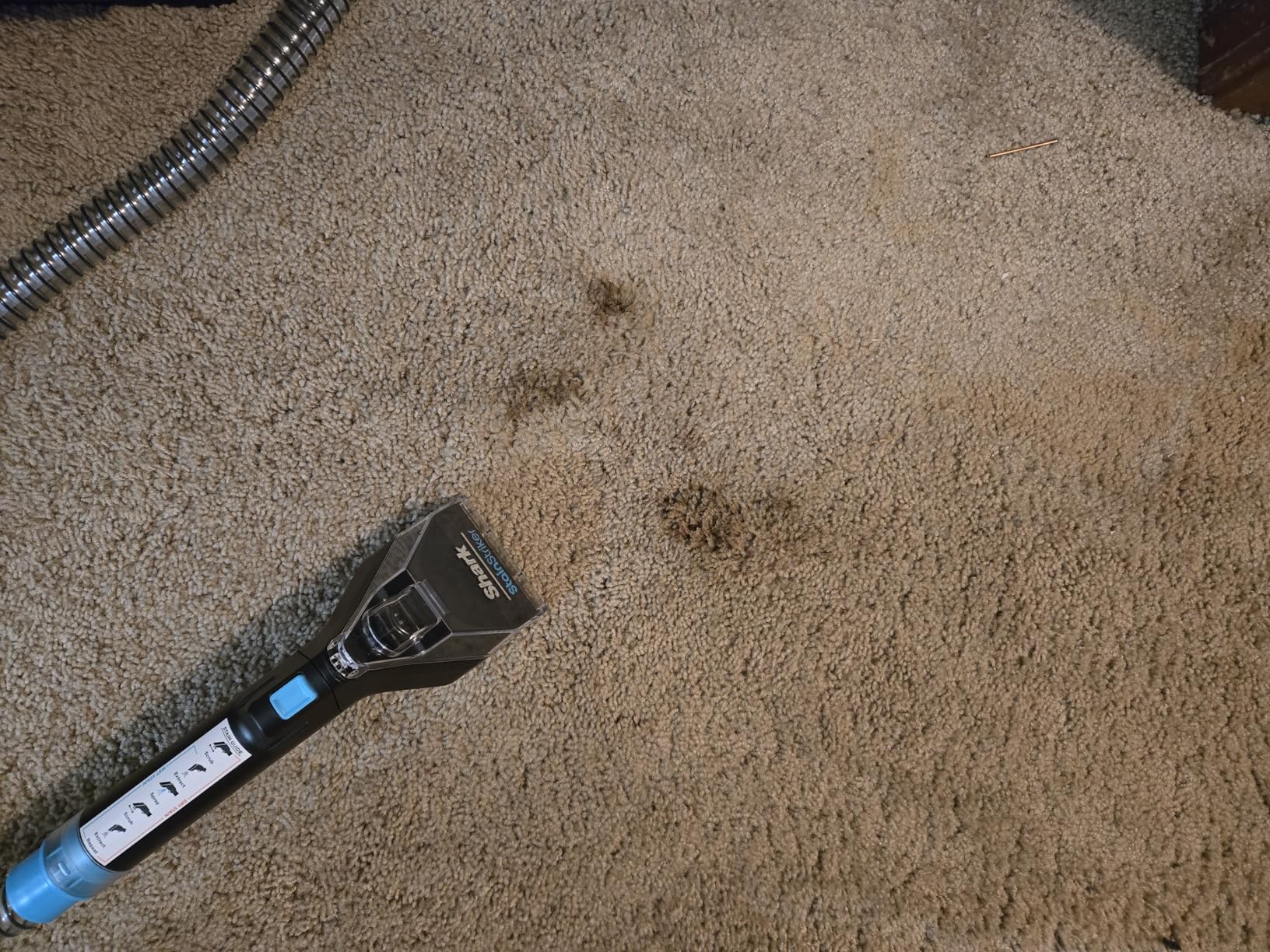 Shark StainStriker Portable Carpet & Upholstery Cleaner with On-Board Self-Cleaning, Spot, Stain, & Odor Eliminator, Includes 2 Cleaning Tools, 2 Cleaning Solutions, Charcoal, PX221BRN customer photo 2