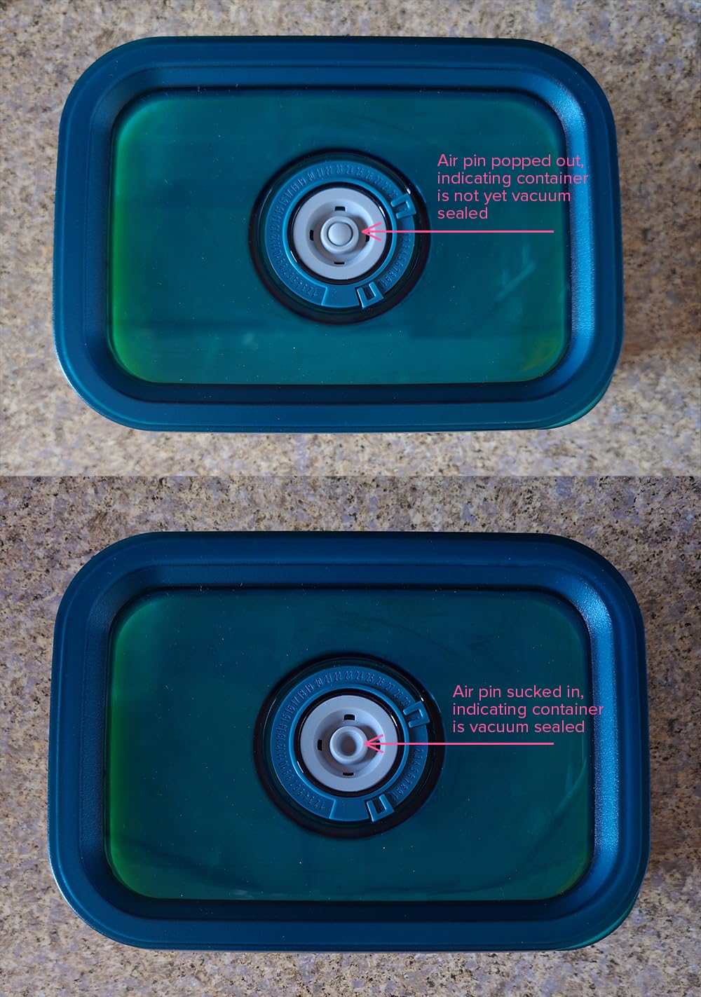 Avid Armor BPA-Free Borosilicate Glass Vacuum Containers, Set of 3 (12.5 oz, 23.7 oz, 38.9 oz) - Green SAN Lid with Date Coding, Works with Most Vacuum Sealers for Dry Goods & Marinating Includes Hose customer photo 2