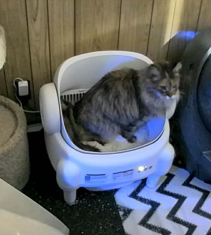 Self Cleaning Litter Box, Open Top Automatic Litter Box with App Control for Multiple Cats, Safety Sensors Protection, Odor Control Includes 2 roll Liners, Large Waste Bin, Cream White customer photo 1