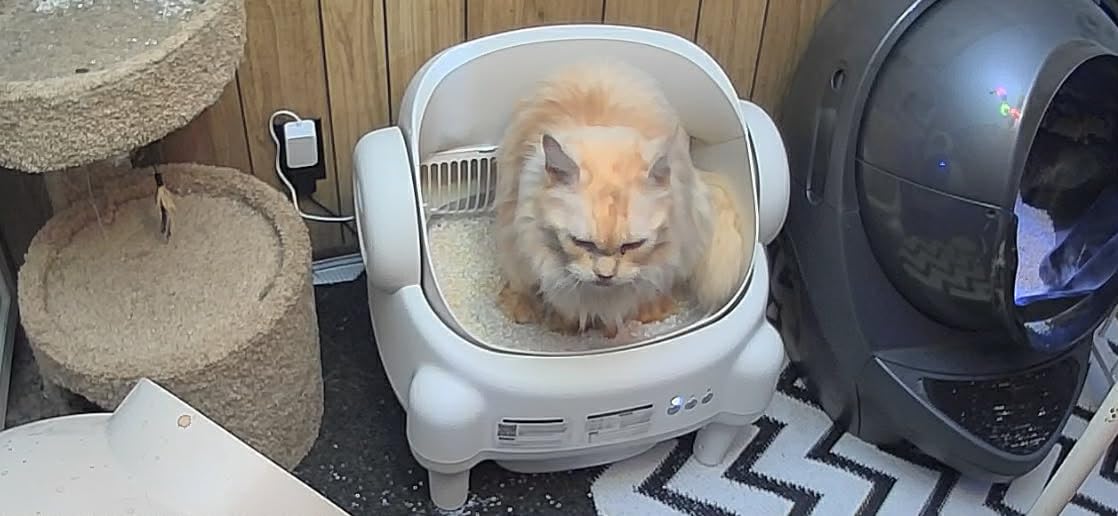 Self Cleaning Litter Box, Open Top Automatic Litter Box with App Control for Multiple Cats, Safety Sensors Protection, Odor Control Includes 2 roll Liners, Large Waste Bin, Cream White customer photo 2