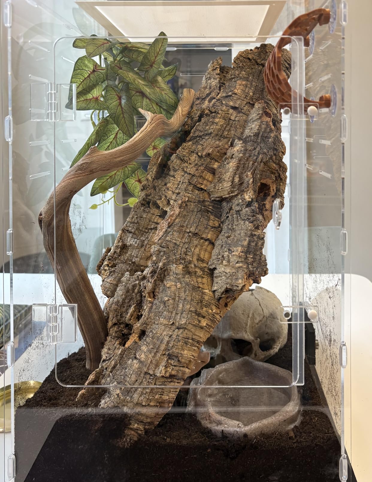 12x12x18 Reptile Tank 10 Gallon - Acrylic Reptile Enclosure Terrarium for Crested Gecko, Lizards, Spiders & Snakes - Clear Lizard Habitat Terrarium customer photo 1