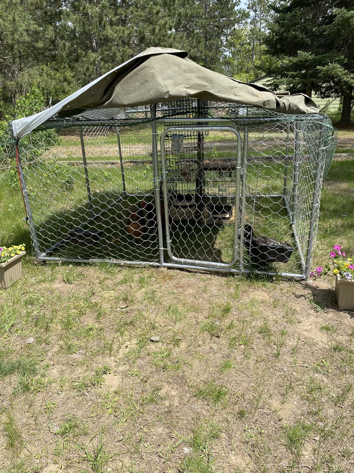 7.8x7.8FT Heavy Duty Outdoor Dog Kennel with Waterproof & UV-Resistant Roof, Secure Locking Mechanism - All-Weather Metal Enclosure for Large Dogs (93x93x63 Inches) customer photo 1
