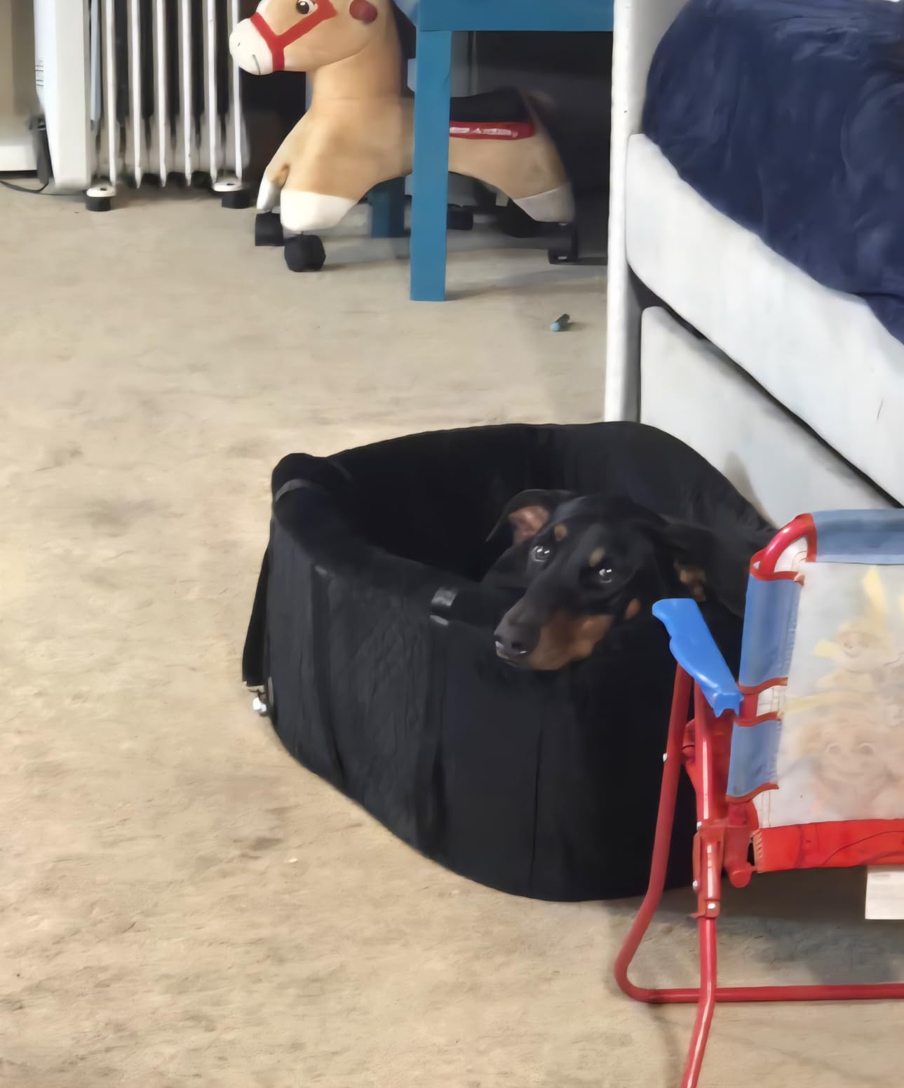 Dog Car Seat for Large Dogs up to 60 lbs or 2 Small Dogs with 4