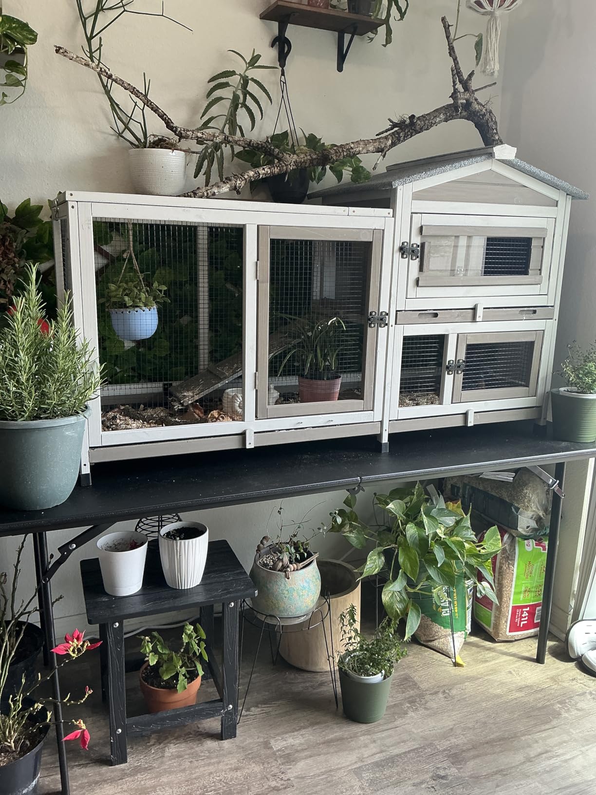 2 Story Rabbit Hutch Outdoor Indoor, Wooden Bunny Cage with 6 Lockable Wheels, 3 Removable No Leakage Pull Out Trays, Chew-Proof Ramp & Waterproof Roof, Ideal for Rabbit & Guinea Pig customer photo 1