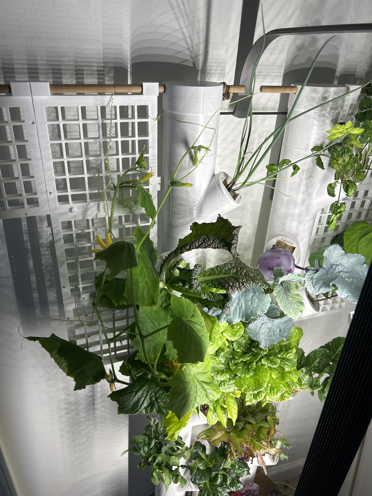 Gardyn Studio 1 Vertical Hydroponics Growing System Kit - 16 Non-GMO Plants, Herbs, Vegetables - Tower Garden - Hydroponic Herb Garden Planter Indoor Kit - Indoor Gardening System with LED Grow Lights customer photo 1