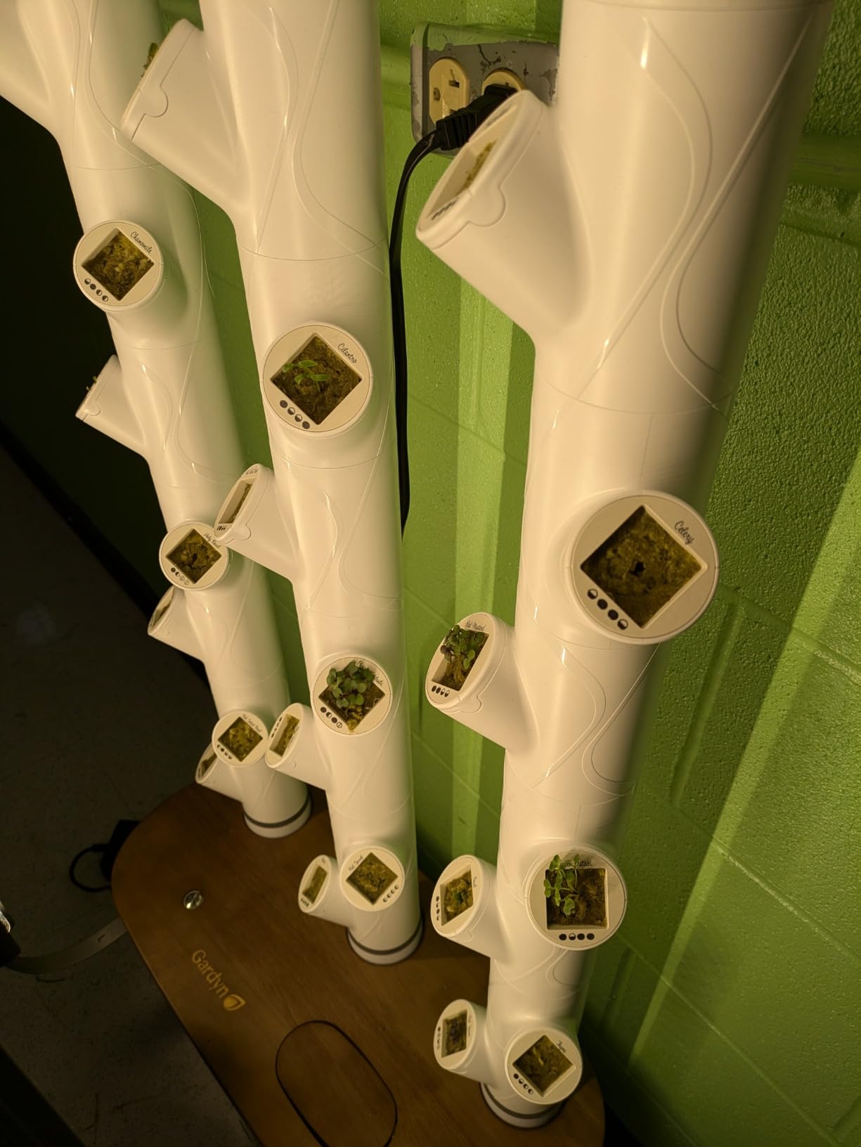 Gardyn Home 4 Vertical Hydroponics Growing System Kit - 30 Non-GMO Plants, Herbs, Vegetables - Smart Tower Garden Hydroponic Herb Garden Planter Indoor Kit - Indoor Gardening System w/LED Grow Lights customer photo 1