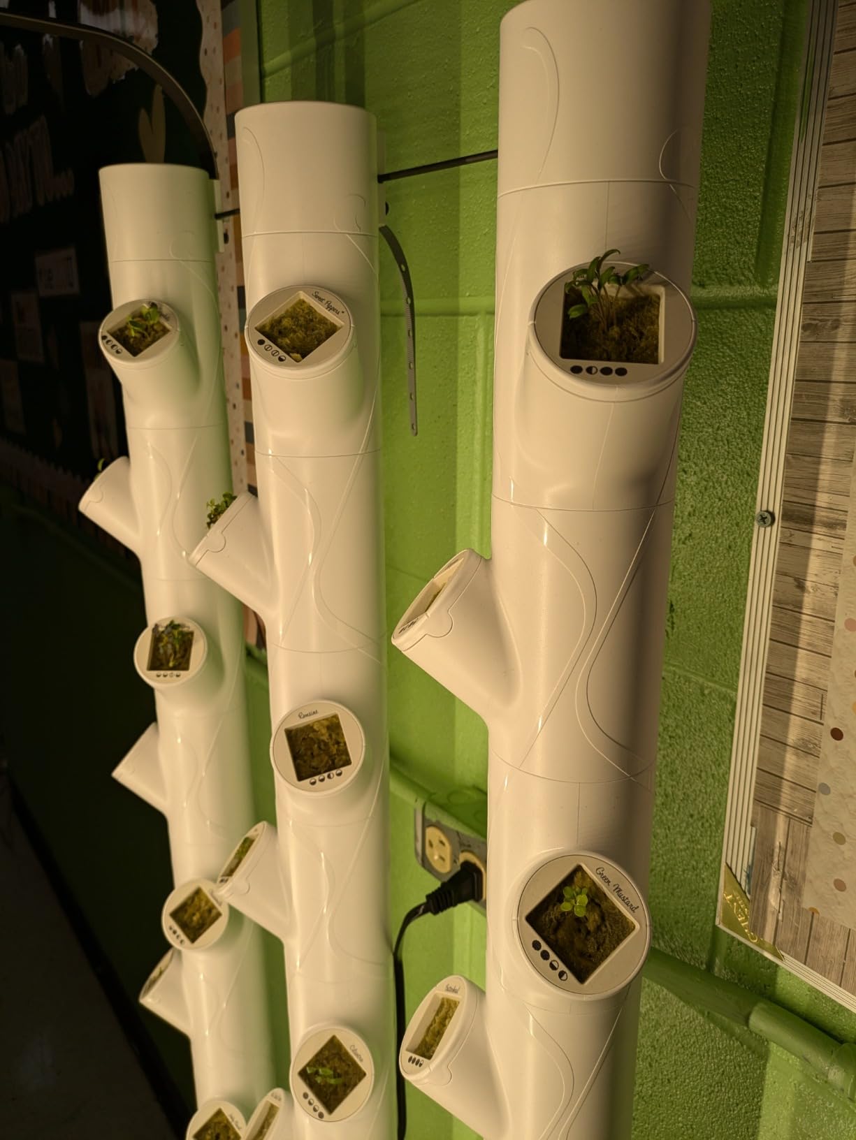 Gardyn Home 4 Vertical Hydroponics Growing System Kit - 30 Non-GMO Plants, Herbs, Vegetables - Smart Tower Garden Hydroponic Herb Garden Planter Indoor Kit - Indoor Gardening System w/LED Grow Lights customer photo 2