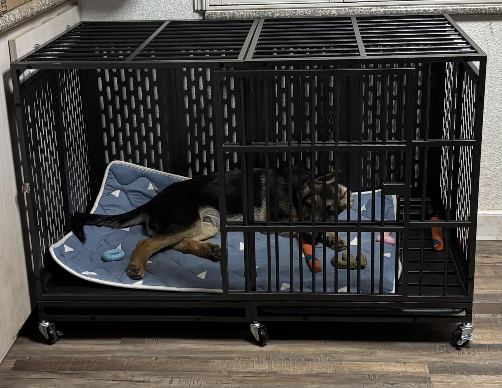 Snuowu 48 Inch Heavy Duty Dog Crate with Wheels, Metal Big Dog Cage for Large and Medium Dogs, Extra Large XL XXL Indestructible Dog Crate with Removable Tray customer photo 1