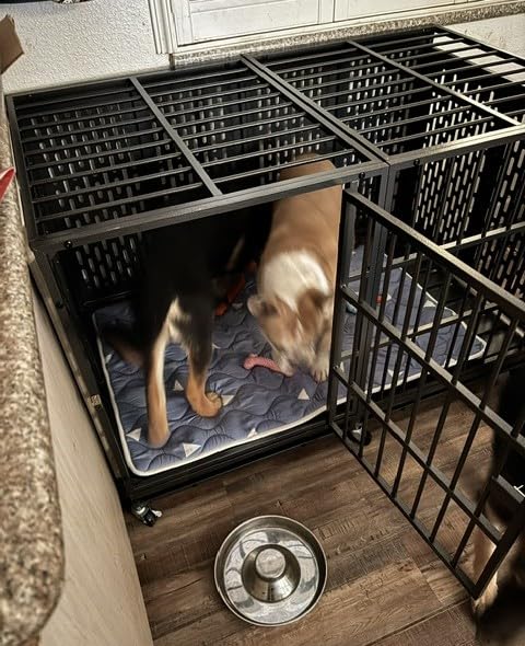 Snuowu 48 Inch Heavy Duty Dog Crate with Wheels, Metal Big Dog Cage for Large and Medium Dogs, Extra Large XL XXL Indestructible Dog Crate with Removable Tray customer photo 2