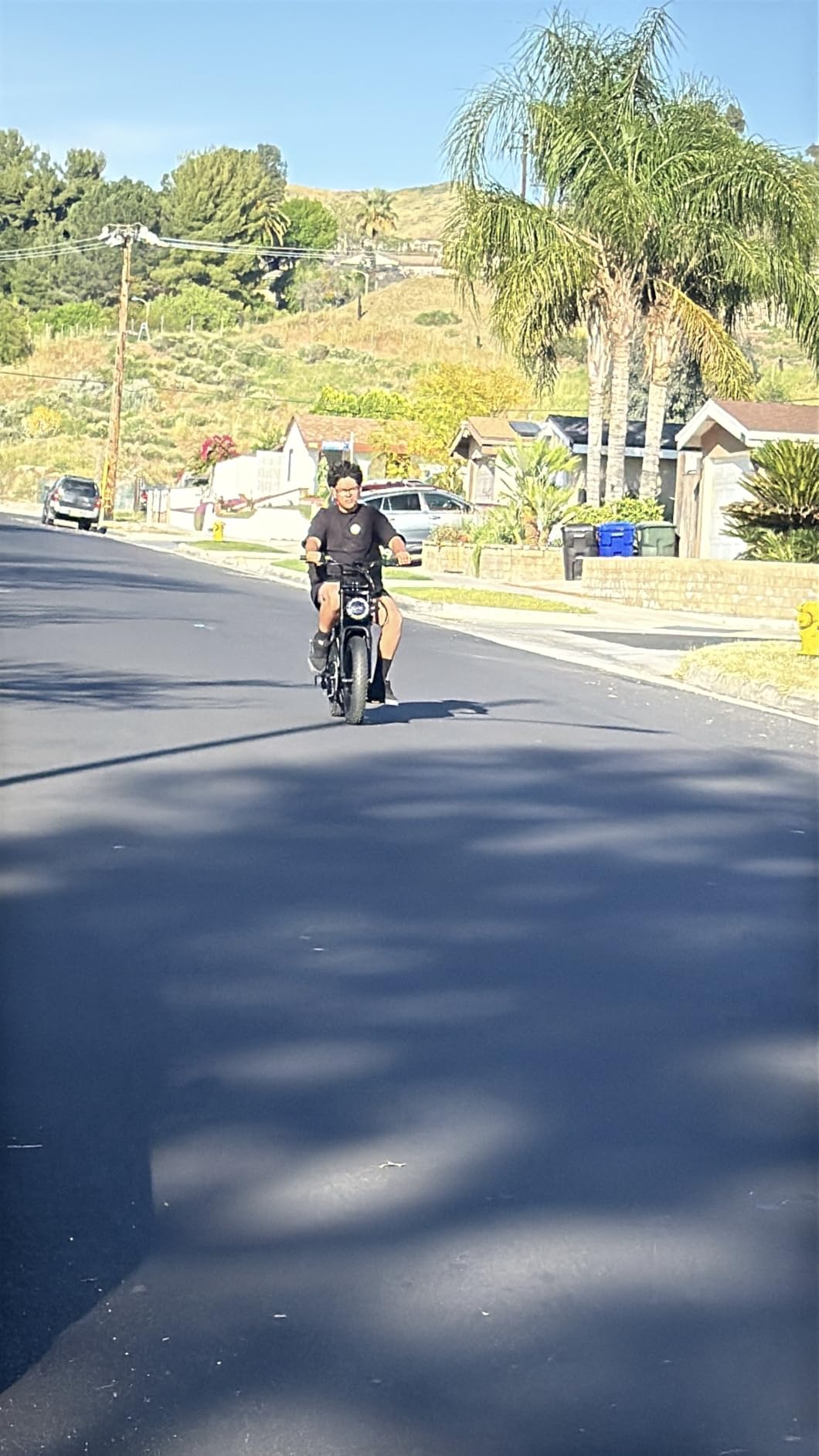 TST Electric Bike for Adults, 1500W Peak Motor 60 Miles Fat Tire Ebike with 48V 15Ah Removable Battery 20