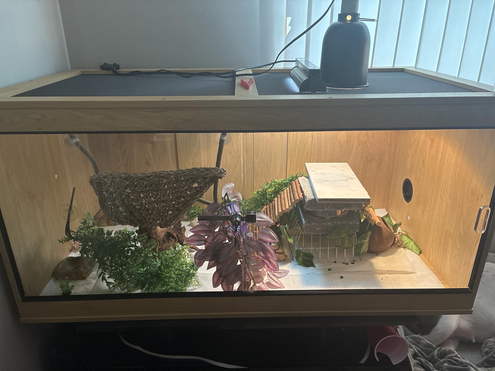unipaws 50 Gallon Reptile Tank, Front Opening Leopard Geckos Enclosure Terrarium with Sliding Doors, Top Ventilation, Stackable Black Cage for Lizards customer photo 1
