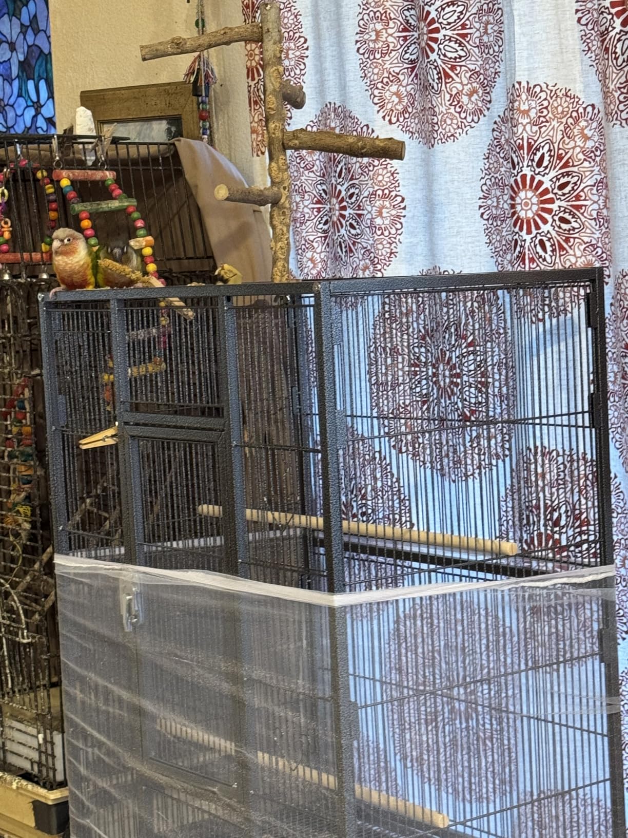YITAHOME 53.9 inches Metal Bird Cage for Parakeets: Large Parrot Cages with Seed Catcher & Birdcage Cover with Rolling Stand & Brakes for Lovebirds Cockatiels Pigeon Finches customer photo 1