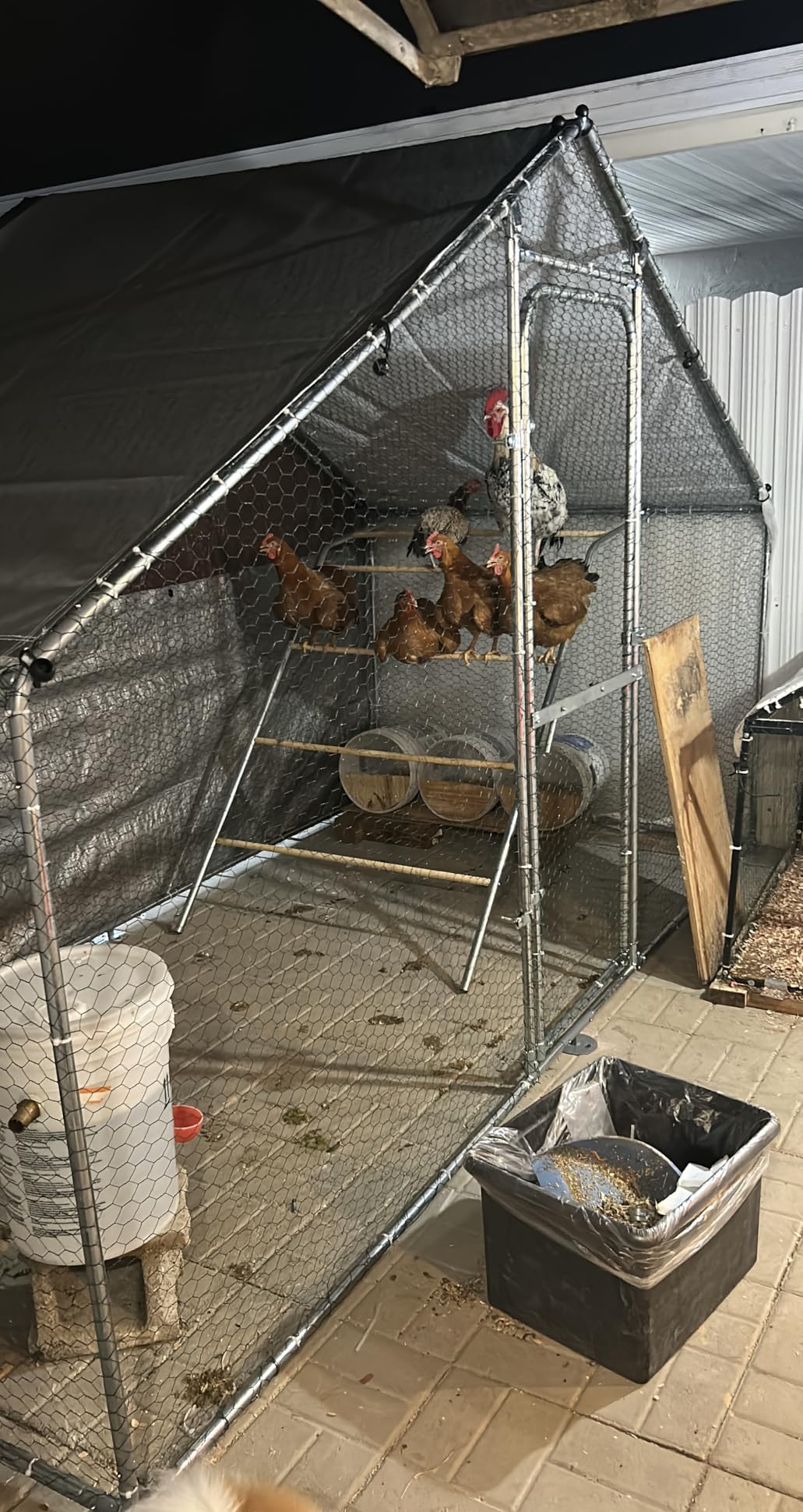 Metal Chicken Coop with Run, 10 x 5 x 6.4ft Outdoor Walk-in Chicken Run Pen Poultry Cage, Upgrade Roosting Perch,Waterproof & Anti-Ultraviolet Cover,Spire Roof customer photo 2