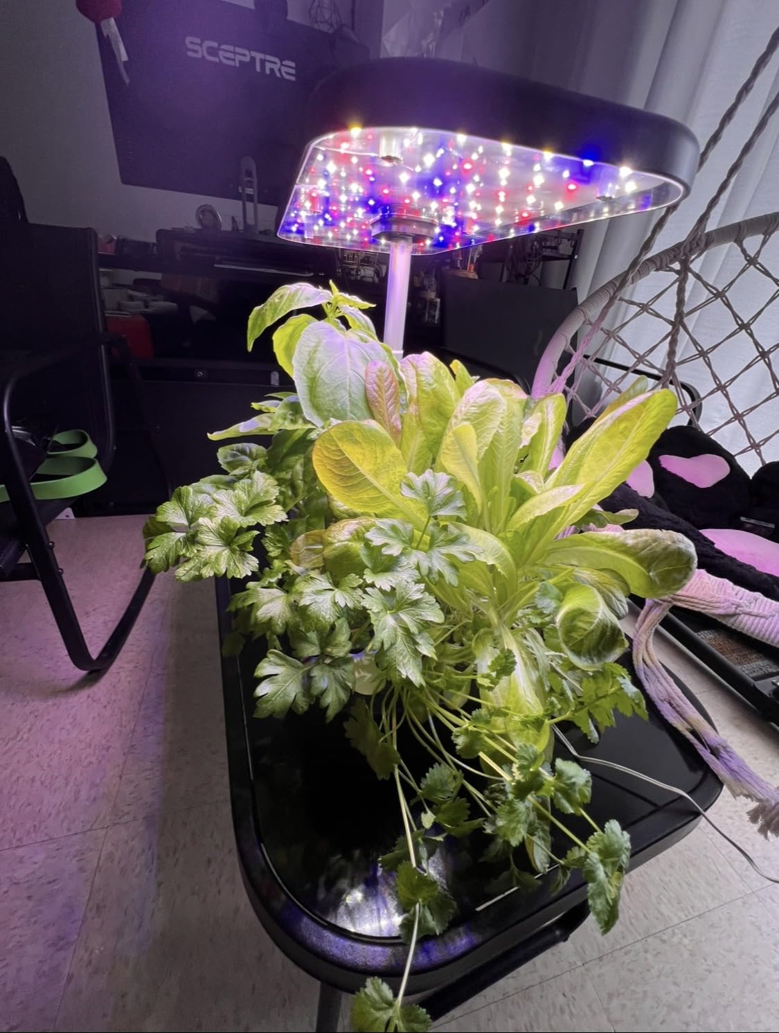 owltron Smart Hydroponics Growing System Kit, 15 Pods Indoor Herb Garden with 36W LED Grow Light and APP Control customer photo 1