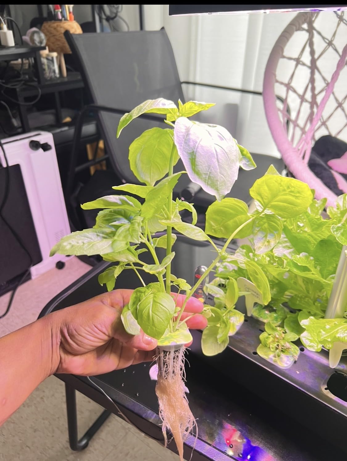 owltron Smart Hydroponics Growing System Kit, 15 Pods Indoor Herb Garden with 36W LED Grow Light and APP Control customer photo 2