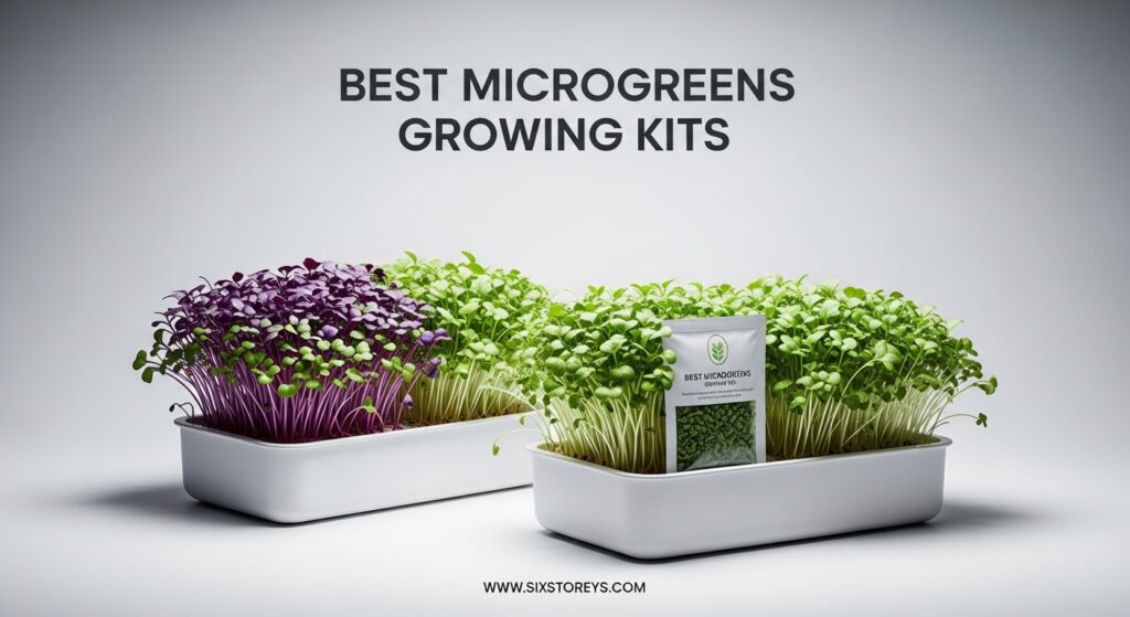 The current image has no alternative text. The file name is: Best-Microgreens-Growing-Kits.jpeg