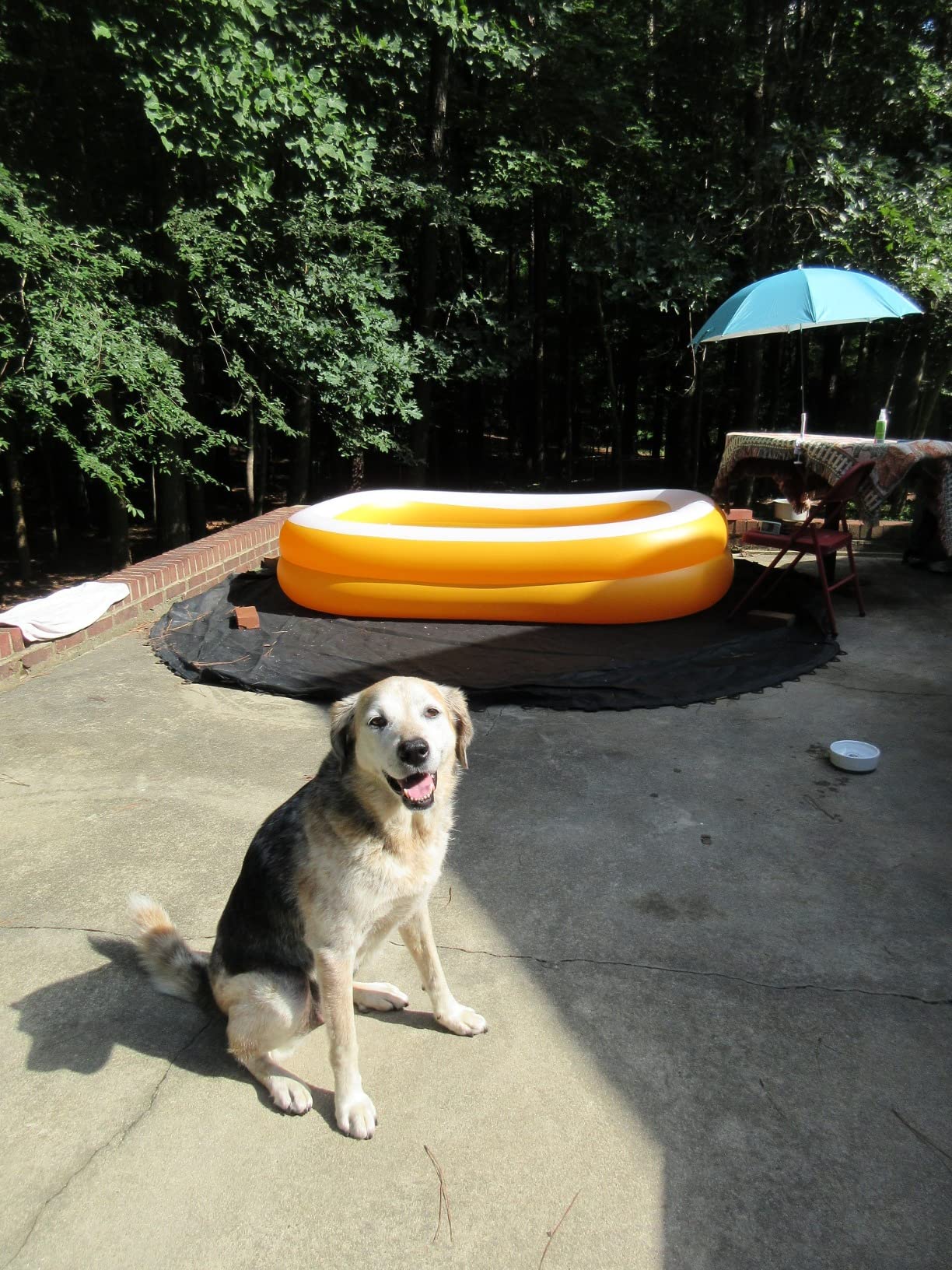 INTEX 58484EP Swim Center Inflatable Family Pool: 277 Gallon Capacity - 120