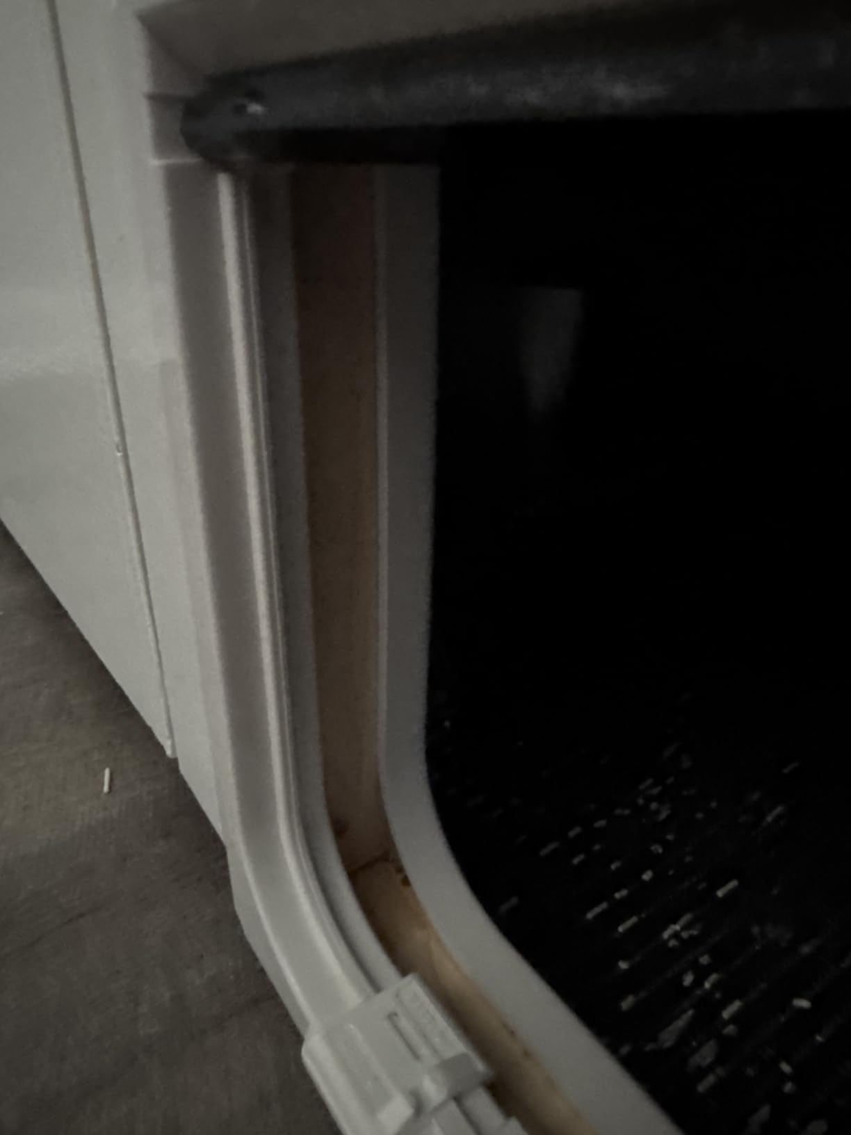 PetSafe Interior Cat Door - 4-Way Lock Option - For cats up to 15 pounds customer photo 1