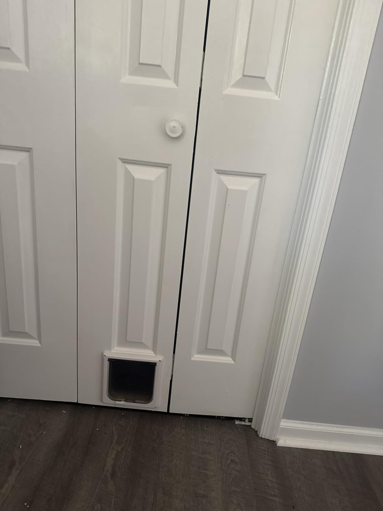PetSafe Interior Cat Door - 4-Way Lock Option - For cats up to 15 pounds customer photo 2