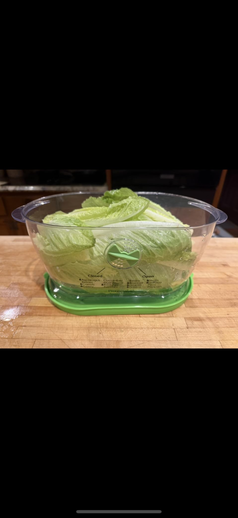 Prep Solutions by Progressive Lettuce Keeper Produce Storage Container, 4.7 Quarts customer photo 2