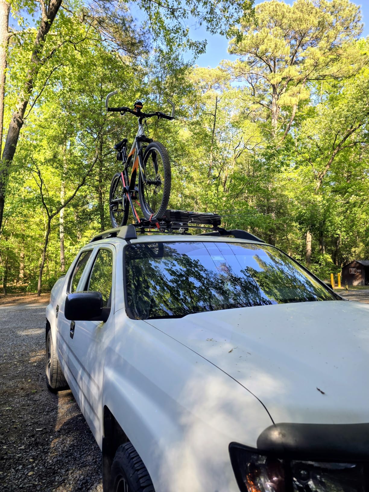 Swagman Upright Roof Mount Bike Rack customer photo 2